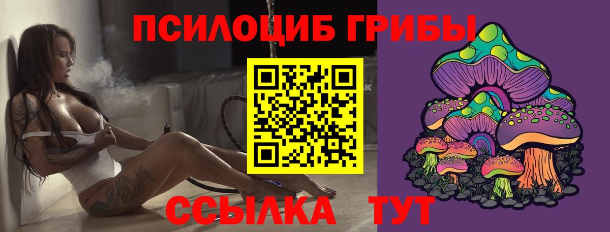 Псилоцибиновые грибы GOLDEN TEACHER  Вход с VPN  хочу   Курчалой 